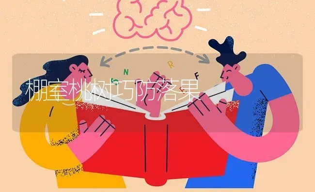 棚室桃树巧防落果 | 瓜果种植