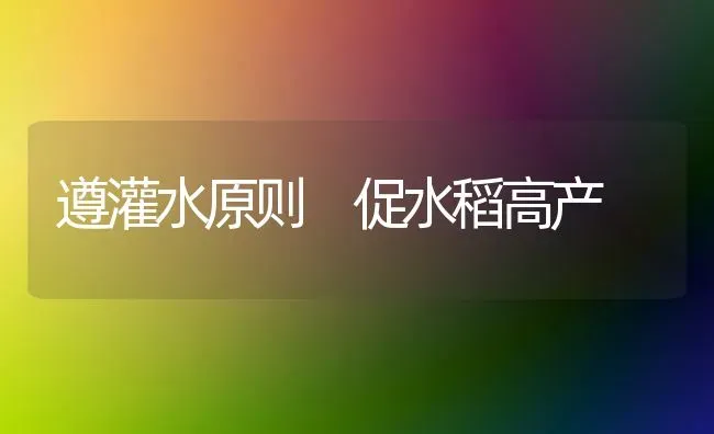 遵灌水原则 促水稻高产 | 粮油作物种植