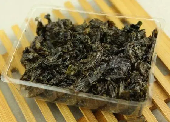 生长环境|紫菜生长在哪里 喜欢长在什么地方