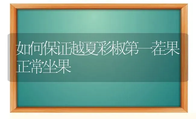 如何保证越夏彩椒第一茬果正常坐果 | 瓜果种植