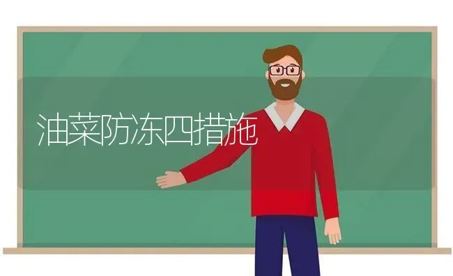 油菜防冻四措施 | 粮油作物种植