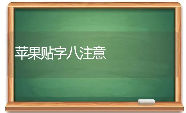 苹果贴字八注意 | 瓜果种植