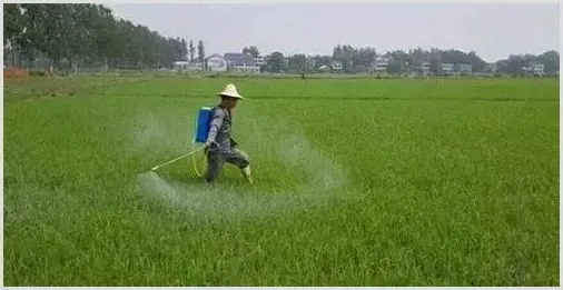 除草剂什么时候打最好 | 种植技术