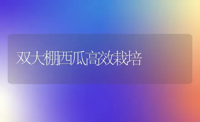 双大棚西瓜高效栽培 | 瓜果种植