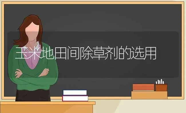 玉米地田间除草剂的选用 | 粮油作物种植