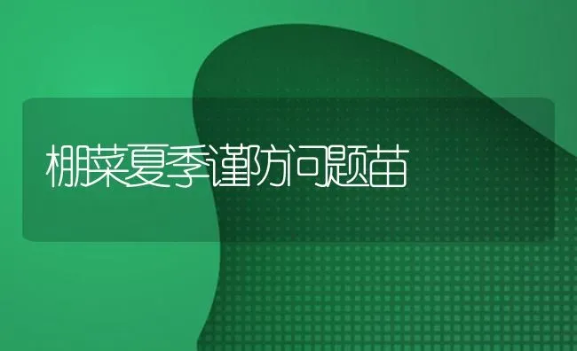 棚菜夏季谨防问题苗 | 蔬菜种植