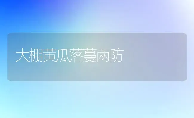 大棚黄瓜落蔓两防 | 蔬菜种植