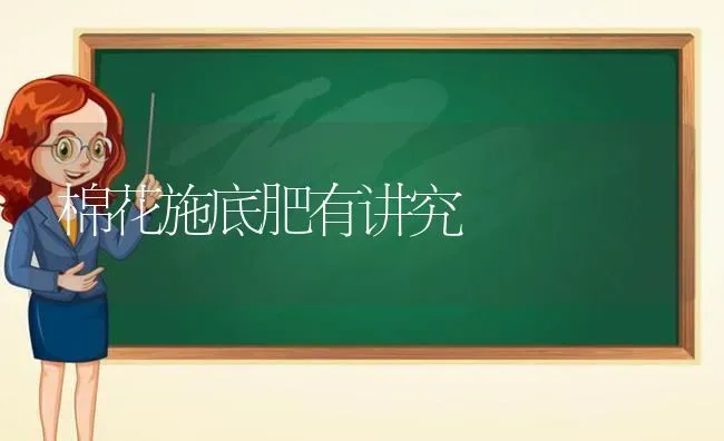 棉花施底肥有讲究 | 粮油作物种植