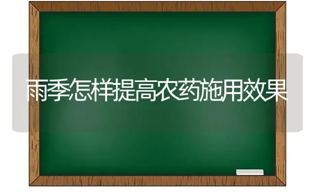 雨季怎样提高农药施用效果 | 瓜果种植