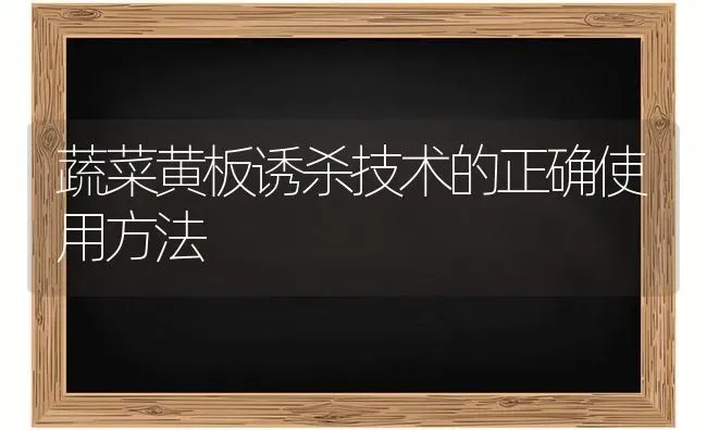 蔬菜黄板诱杀技术的正确使用方法 | 蔬菜种植