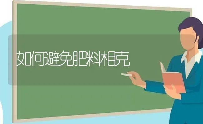 如何避免肥料相克 | 种植肥料施肥