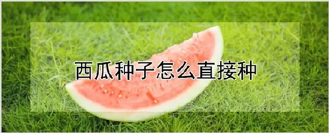 西瓜种子几天出土 | 耕种资料