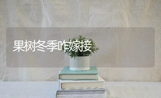 果树冬季咋嫁接 | 瓜果种植