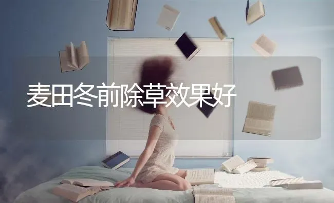麦田冬前除草效果好 | 瓜果种植