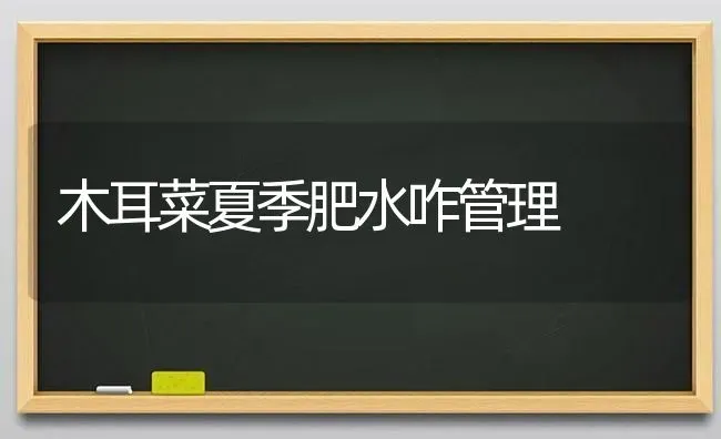 木耳菜夏季肥水咋管理 | 食用菌种植