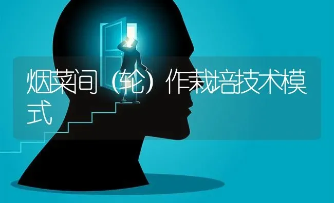 烟菜间（轮）作栽培技术模式 | 蔬菜种植