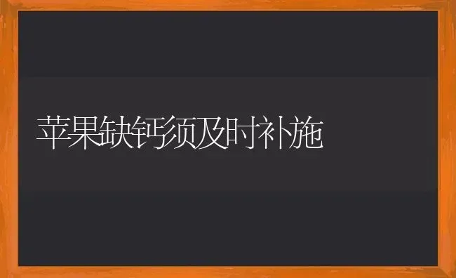 苹果缺钙须及时补施 | 瓜果种植