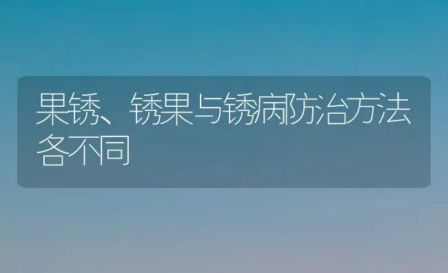 果锈、锈果与锈病防治方法各不同 | 瓜果种植