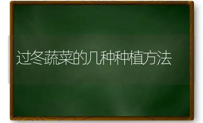 过冬蔬菜的几种种植方法 | 蔬菜种植