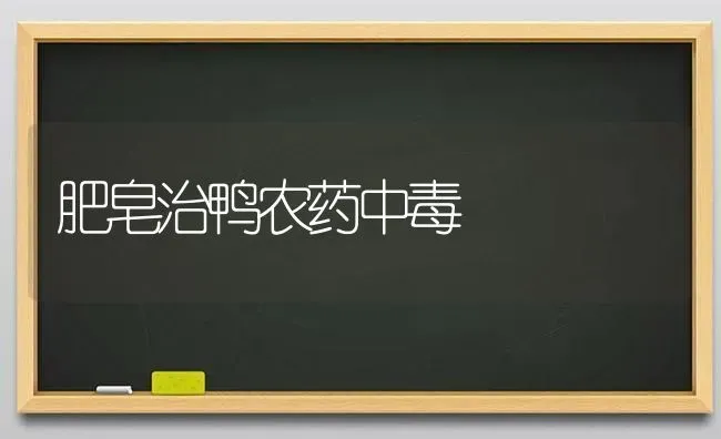 肥皂治鸭农药中毒 | 种植病虫害防治