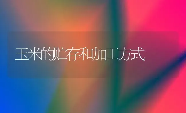 玉米的贮存和加工方式 | 粮油作物种植