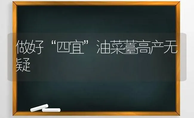 做好“四宜”油菜薹高产无疑 | 粮油作物种植