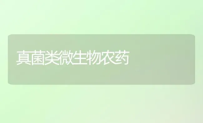 真菌类微生物农药 | 种植病虫害防治