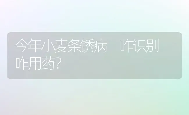 今年小麦条锈病 咋识别 咋用药？ | 粮油作物种植