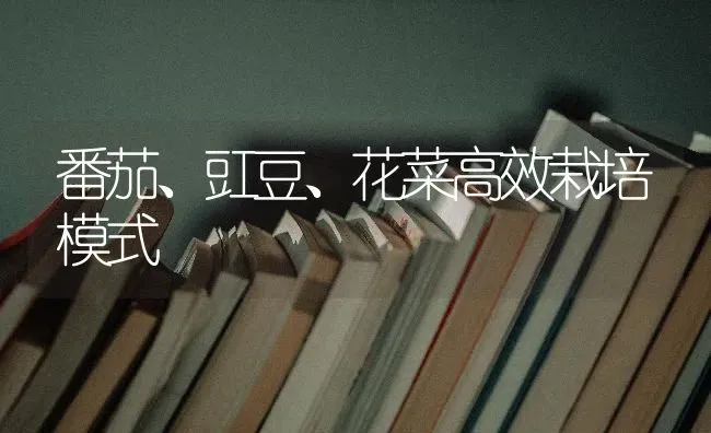番茄、豇豆、花菜高效栽培模式 | 蔬菜种植
