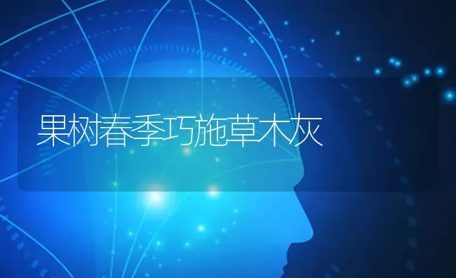 果树春季巧施草木灰 | 瓜果种植