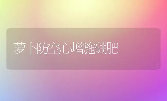 萝卜防空心增施硼肥 | 蔬菜种植