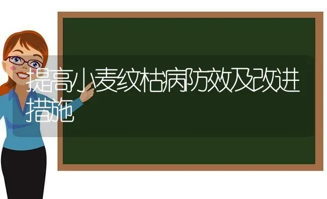 提高小麦纹枯病防效及改进措施 | 粮油作物种植