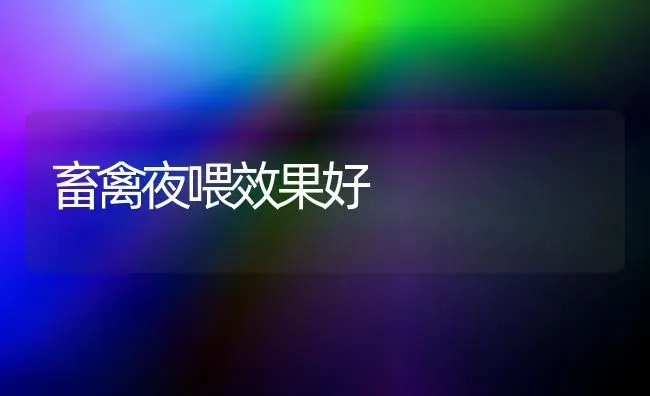 畜禽夜喂效果好 | 瓜果种植