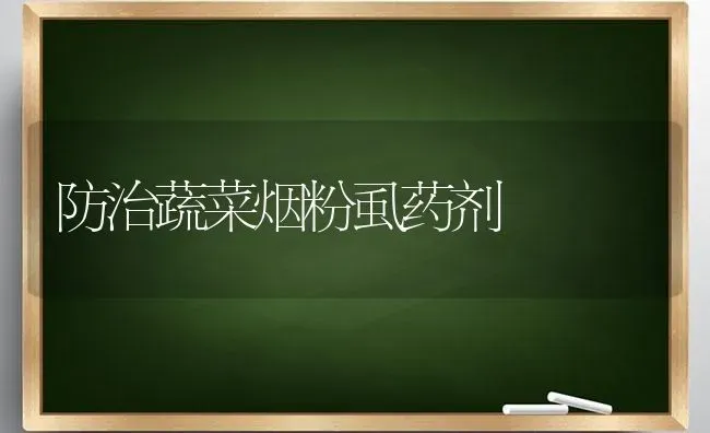 防治蔬菜烟粉虱药剂 | 蔬菜种植