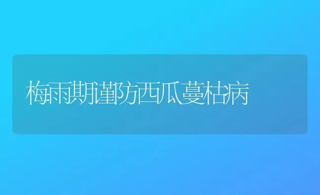 梅雨期谨防西瓜蔓枯病 | 瓜果种植