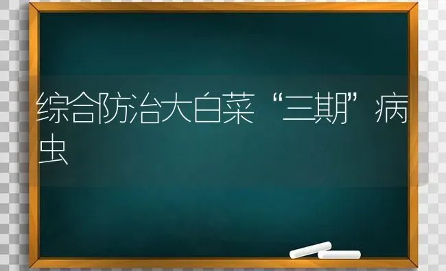 综合防治大白菜“三期”病虫 | 蔬菜种植