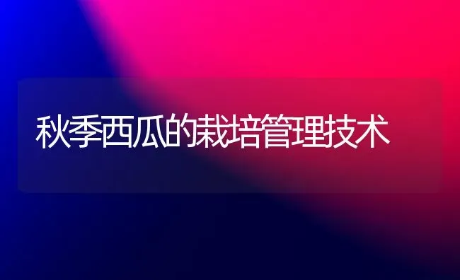 秋季西瓜的栽培管理技术 | 瓜果种植