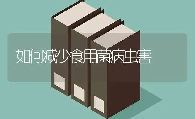 如何减少食用菌病虫害 | 种植病虫害防治