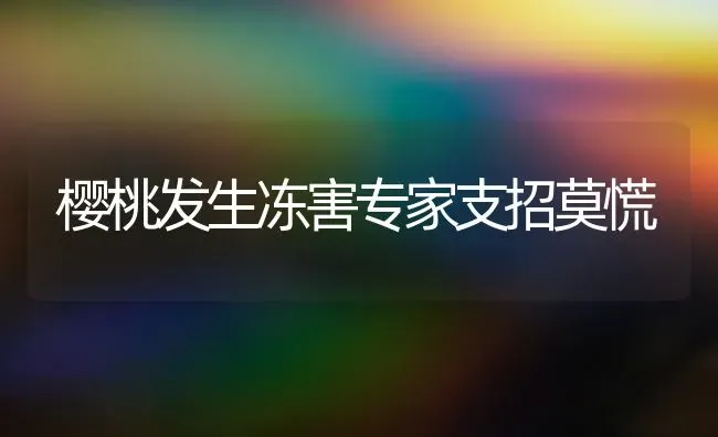 樱桃发生冻害专家支招莫慌 | 瓜果种植