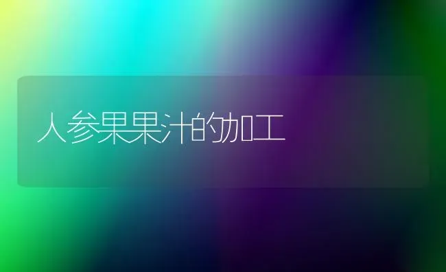 人参果果汁的加工 | 瓜果种植