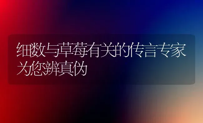 细数与草莓有关的传言专家为您辨真伪 | 瓜果种植