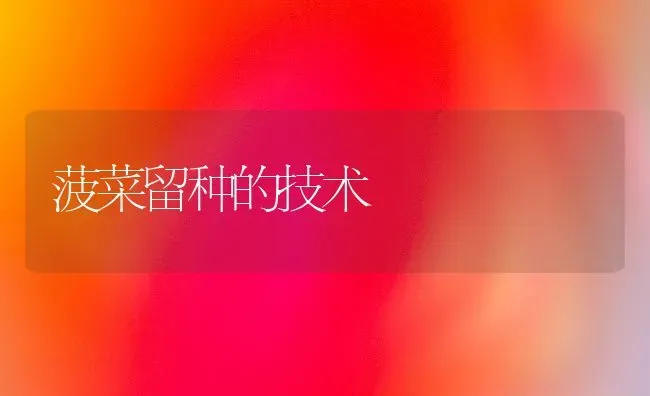 菠菜留种的技术 | 蔬菜种植