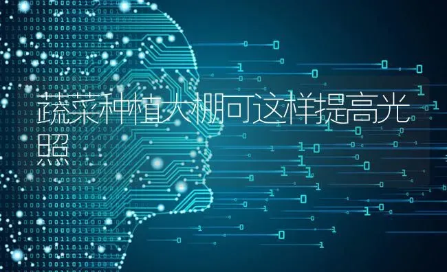 蔬菜种植大棚可这样提高光照 | 蔬菜种植