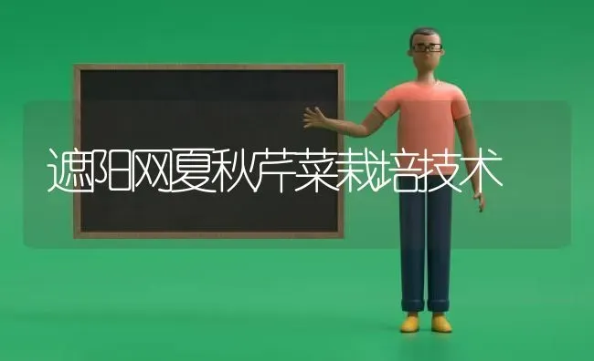 遮阳网夏秋芹菜栽培技术 | 蔬菜种植