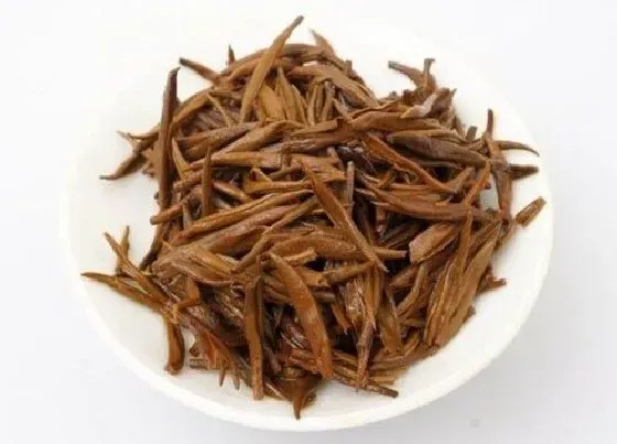 植物泡水|金骏眉哪个品牌比较正宗（金骏眉属于什么档次的茶叶）