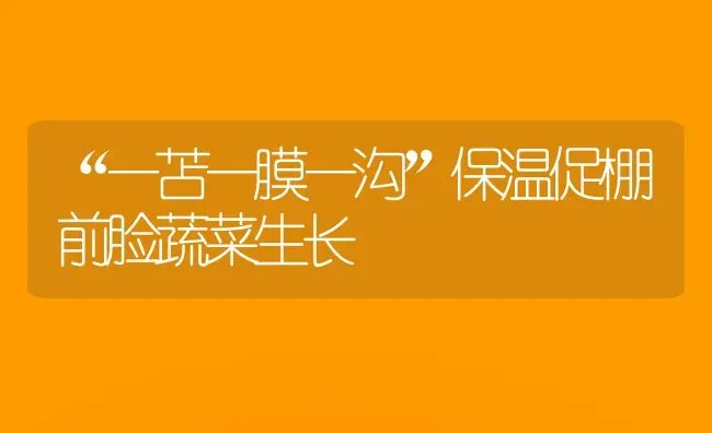 “一苫一膜一沟”保温促棚前脸蔬菜生长 | 蔬菜种植