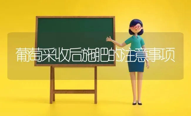 葡萄采收后施肥的注意事项 | 种植肥料施肥