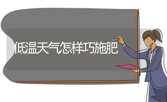 低温天气怎样巧施肥 | 种植肥料施肥