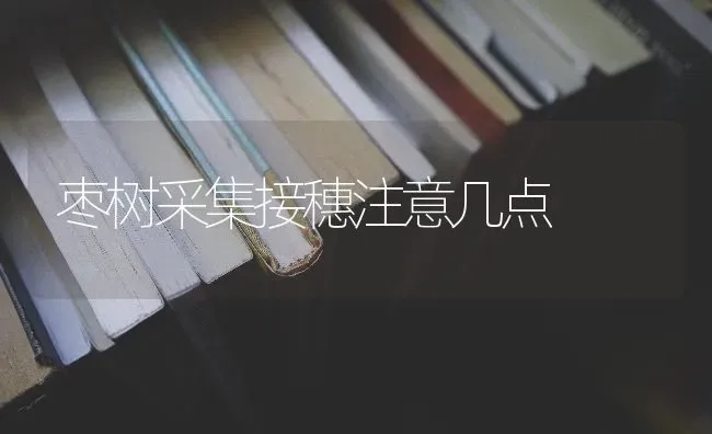 枣树采集接穗注意几点 | 瓜果种植