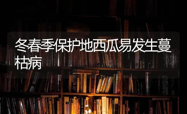 冬春季保护地西瓜易发生蔓枯病 | 瓜果种植